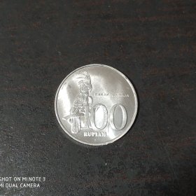 金刚鹦鹉 印尼100盾硬币 2001年
