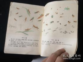 北京中国画院成立时，入院的画家由文化部直接聘任 。著名画家有齐白石、叶恭绰、陈半丁、于非闇、徐燕孙、王雪涛、胡佩衡、吴镜汀、秦仲文、汪慎生、关松房、惠孝同、吴光宇等。因此这本画册应该就是这帮大师的作品——草虫图谱 —— 中国画院花鸟组——  人民美术出版1959版