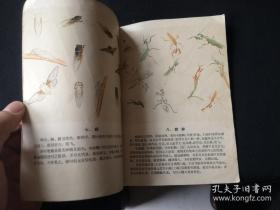 北京中国画院成立时，入院的画家由文化部直接聘任 。著名画家有齐白石、叶恭绰、陈半丁、于非闇、徐燕孙、王雪涛、胡佩衡、吴镜汀、秦仲文、汪慎生、关松房、惠孝同、吴光宇等。因此这本画册应该就是这帮大师的作品——草虫图谱 —— 中国画院花鸟组——  人民美术出版1959版