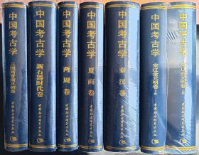 中国考古学：宋辽金元明卷（全2册）