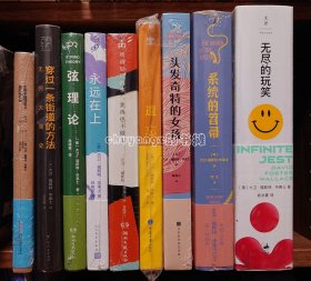 大卫•福斯特·华莱士中译本全集9本合售：无尽的玩笑、遗忘、弦理论、永远在上、头发奇特的女孩、系统的笤帚、穿过一条街道的方法、生命中最简单又最困难的事(附小册子)、所谓好玩的事，我再也不做了