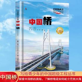 中国超级工程丛书：中国桥(农家书屋)