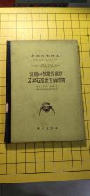 中国古生物志 总号174 新乙种23号 湖南中部晚泥盆世及早石炭世苔藓动物