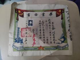 长春市第六区中心小学毕业证书   1954年