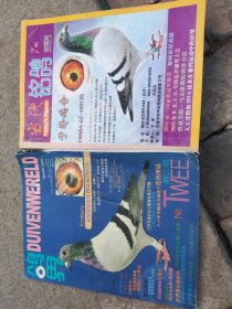 北京信鸽 2011-4期 信鸽市场 等5本