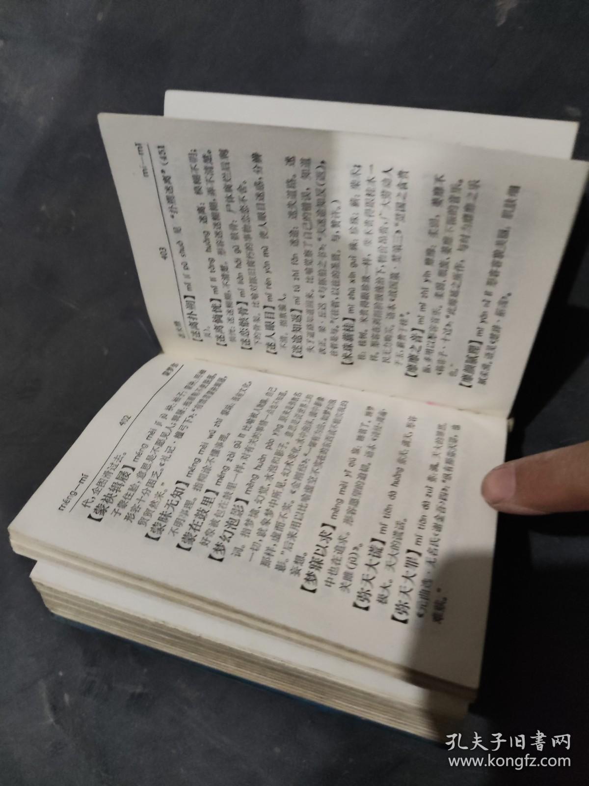 汉语成语词典