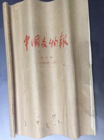 95年中国文化报合刊