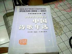 2002-2003中国诗歌年选