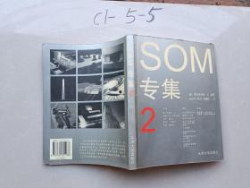SOM专集(2)