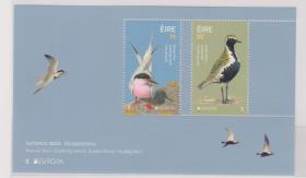 爱尔兰邮票 2019欧罗巴 鸟 小型张