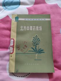 北方中草药栽培