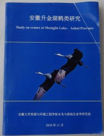 安微升金湖鹤类研究