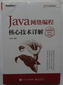 Java网络编程核心技术详解（视频微课版） （全新未拆）