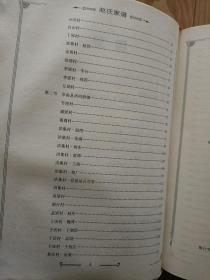 《安徽省阜阳市阜南县赵氏家谱》精装，图文并茂，内容详细！主要有阜南县各乡镇，淮滨县，固始县赵氏的家谱家训，脉络等！