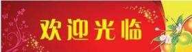 长安福特福睿斯汽车 宣传折页海报