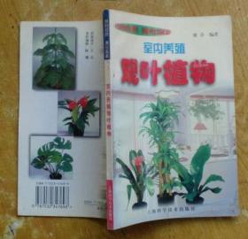 室内养殖观叶植物