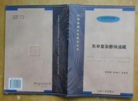 国油藏开发模式丛书.复杂断块油藏：东辛复杂断块油藏