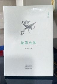 现货 实拍 沧海大风