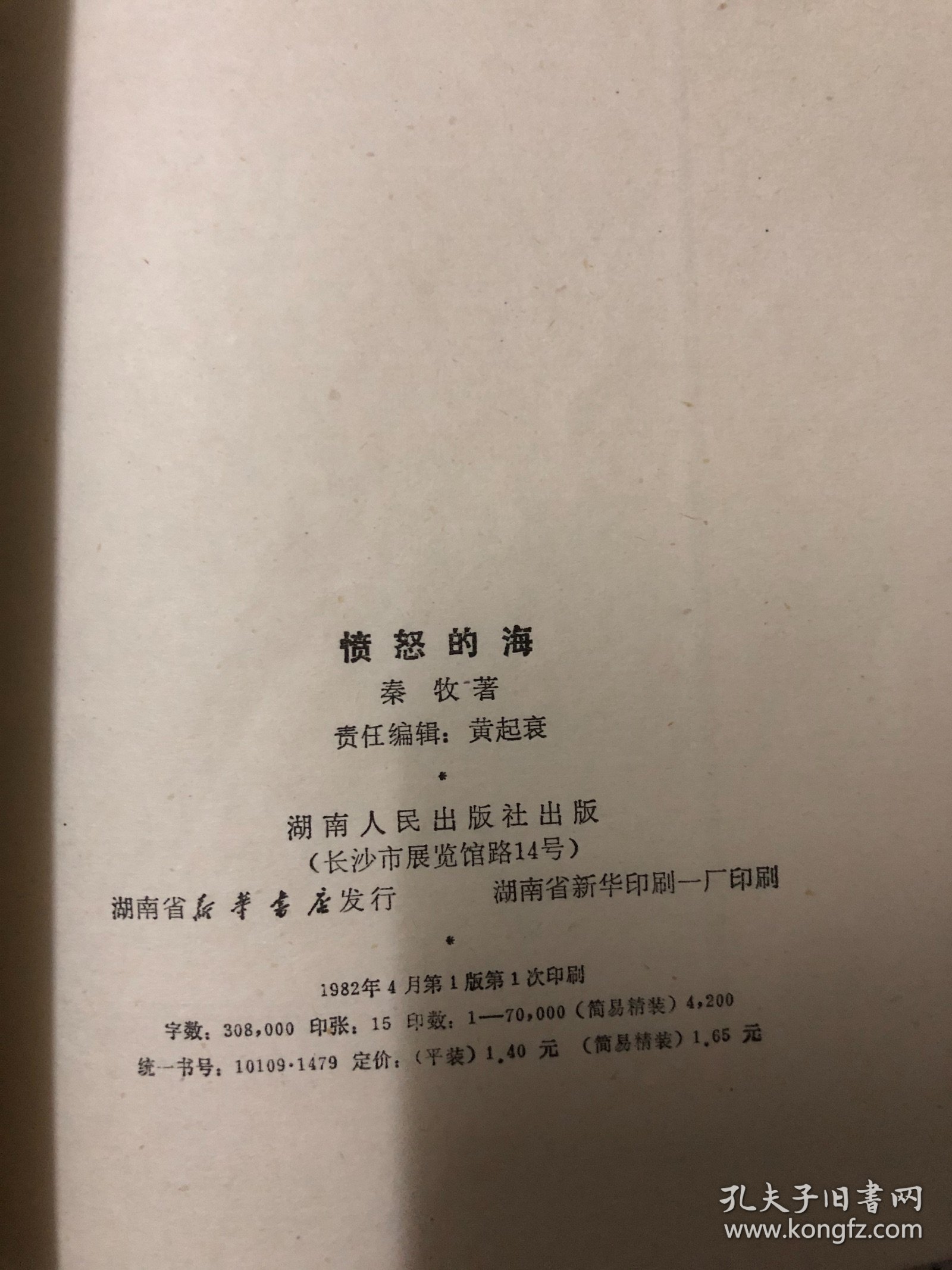 愤怒的海1