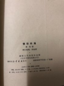 愤怒的海1