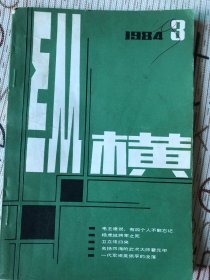 纵横1984-3