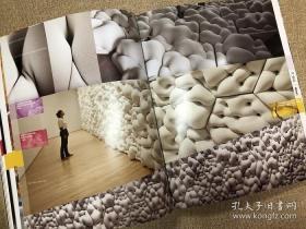 Expanded Field: Installation Architecture Beyond Art 扩展的领域 装置艺术