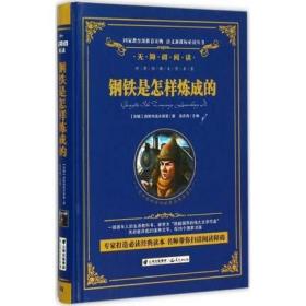 钢铁是怎样炼成的 (苏)奥斯特洛夫斯基 著;汲庆海 主编;胡慧（精装）