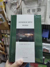 梦中银币