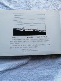 中国云图 【很漂亮多图， 可作为美术资料！