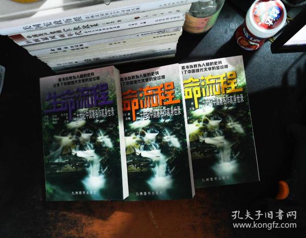 生命流程：二十世纪中国著名作家身世录（第二册）