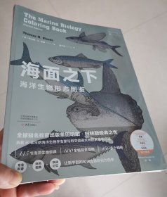 海面之下：海洋生物形态图鉴（一本可以涂色的海洋科普书）