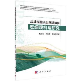 边坡泥化夹层渐进损伤宏细观机理研究