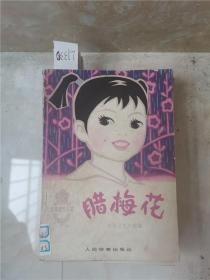 腊梅花