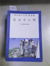 中外名人小传第6辑张治中小传.