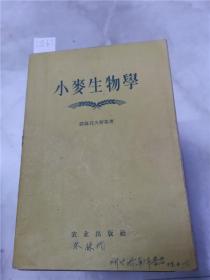 小麦生物学