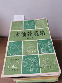 水仙花栽培