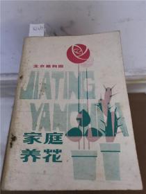 家庭养花