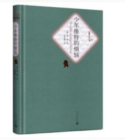 名著名译精装：少年维特的烦恼（精装 全新塑封）