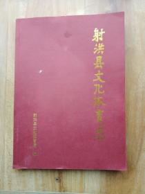 射洪县文化体育志 1950-2007