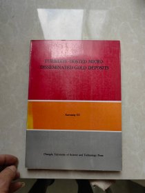 浊积岩系中微细浸染型金矿床（英文版）