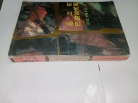 恶之花 巴黎的忧郁+原书夹有1988年老门票“海宁 盐官 海神庙”1张共2件合售。J03