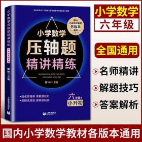 初中数学压轴题精讲精练（六七八九年级+中考）