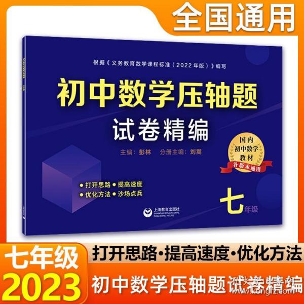 初中数学压轴题试卷精编（九年级＋中考）