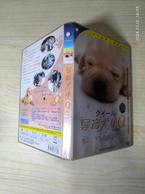 导盲犬小Q DVD