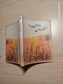 在麦田呼吸啤酒的香气