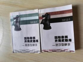 国际象棋开局武器库 上下