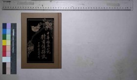 特甫侦探谈,吴雄倡译述,中华书局[总发行者],民国6[1917](民国籍粹)