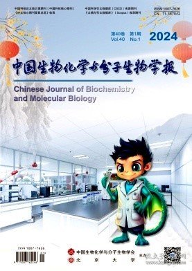 中国生物化学与分子生物学报,2024年,1月,第1期,刘子昂;金焰;吴楠;,魏琳;韩英伦;刘欣;,高洋;秦合伟;李彦杰;,管文斌;刘新光;赵炜;,易小苏;王冬梅;,张珍;全心雨;唐志书;,常文静;严汉池;,帅旗志;祖拉莱·阿力比衣提;程静雯;王晓婉;梁宇翔;彭志伟;解军;,贾琼;金聪俐;胡世雄;秦蓉芬;赵立峰;范瑞文;,刘菲;范孝俊;王莹;李迎澳;张晓林;严小军;廖智;