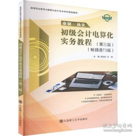 初级会计电算化实务教程微课版