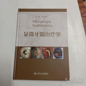 显微牙髓治疗学